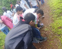 Std VI Field Trip - Sanjay Gandhi national Park